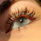 Misty Brown Contact Lenses