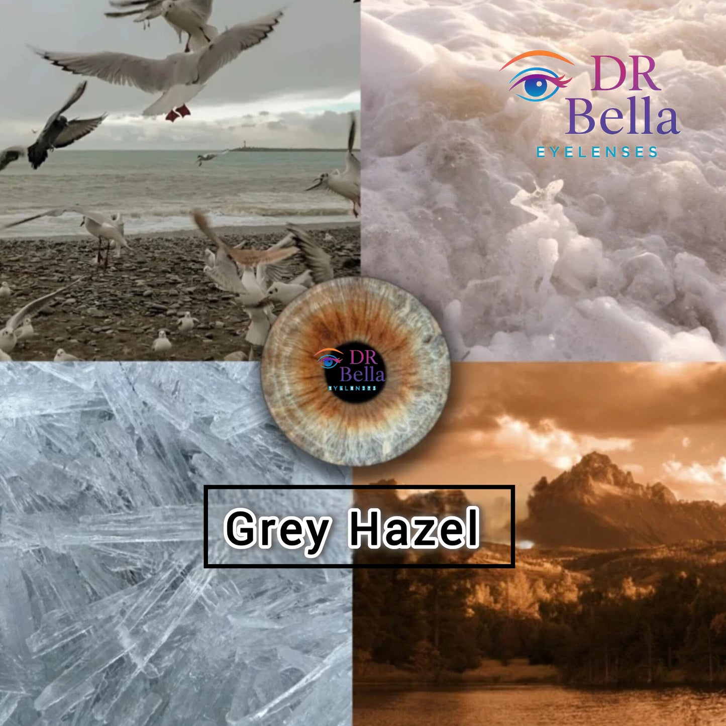 Grey Hazel