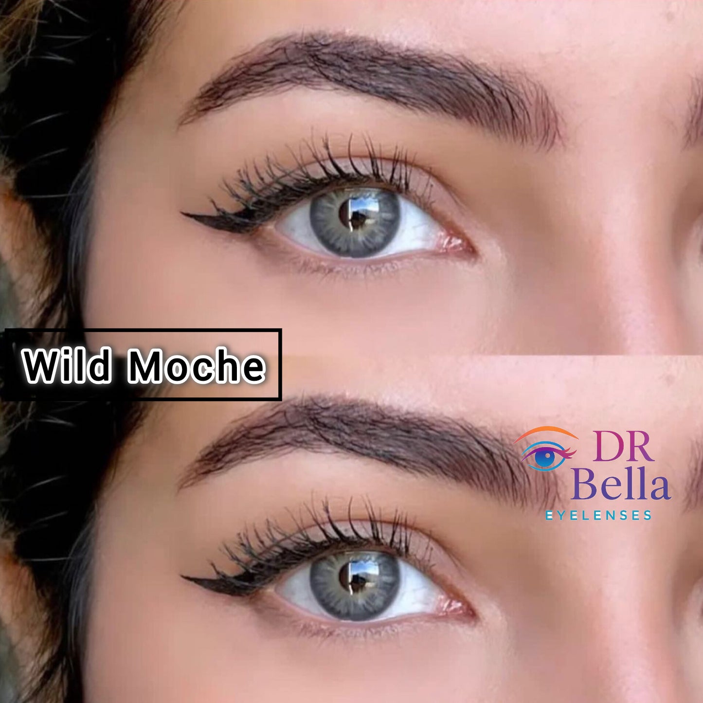 Wild Moche