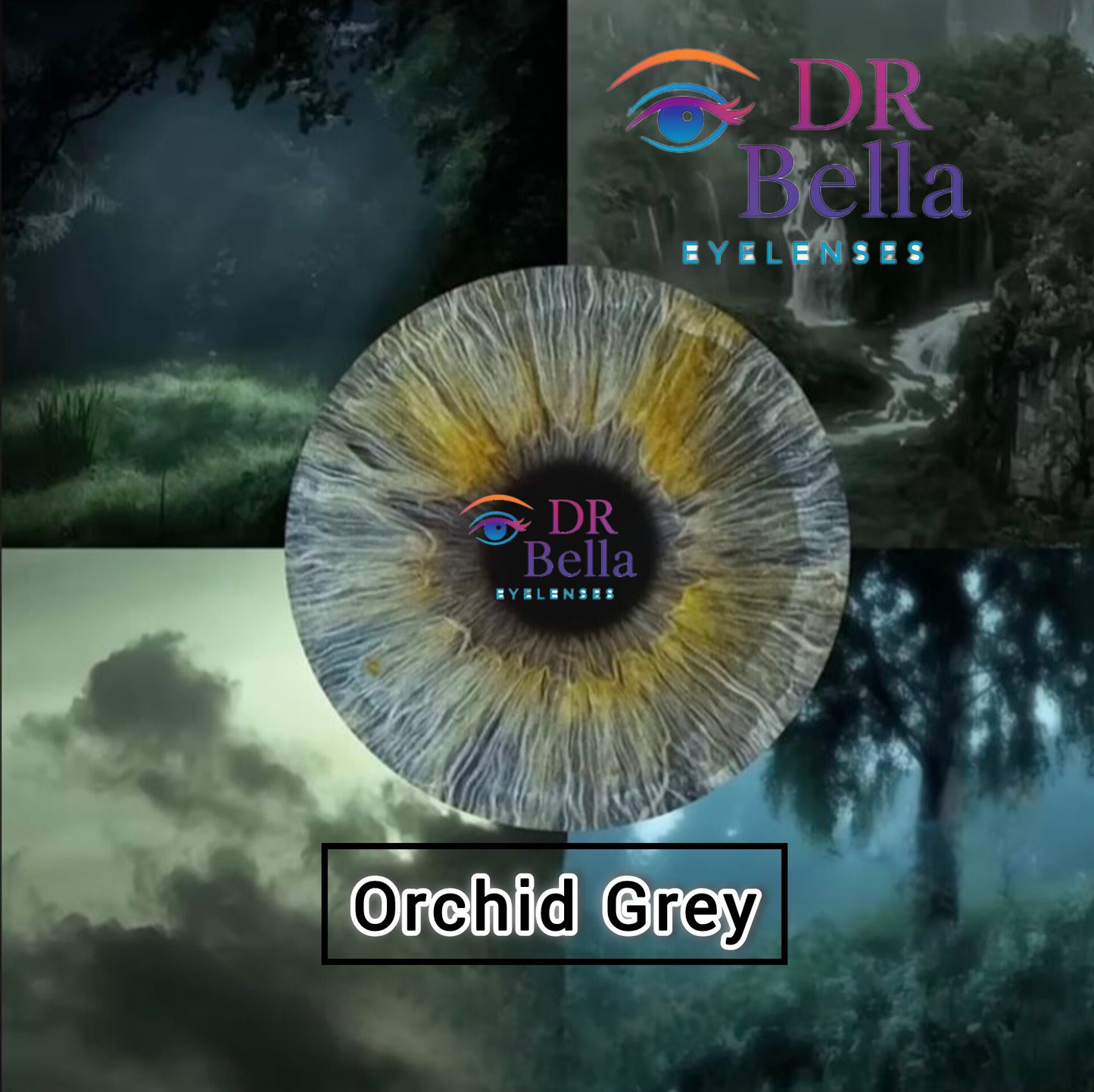 Orchid Grey